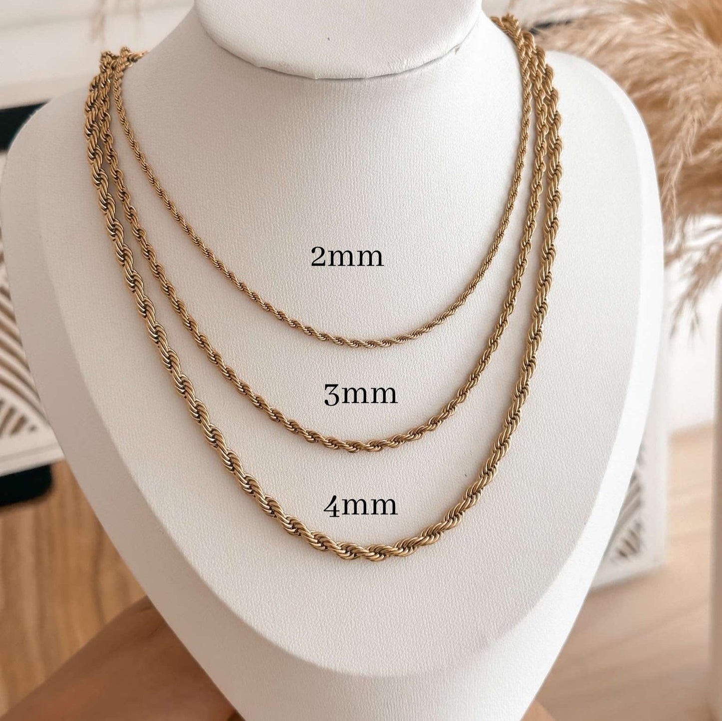 18K Gold Stainless Steel Rope Chain Necklace