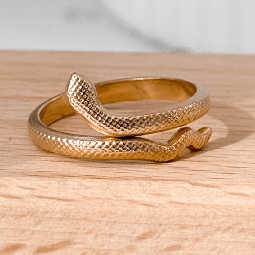 Minimalist Snake Ring - Liv.Aura Jewelry